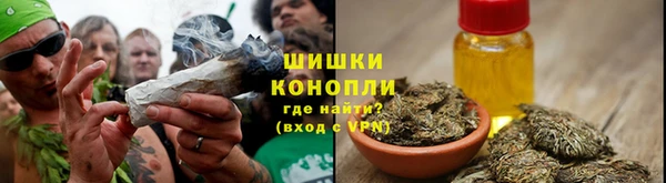 крисы Нефтегорск