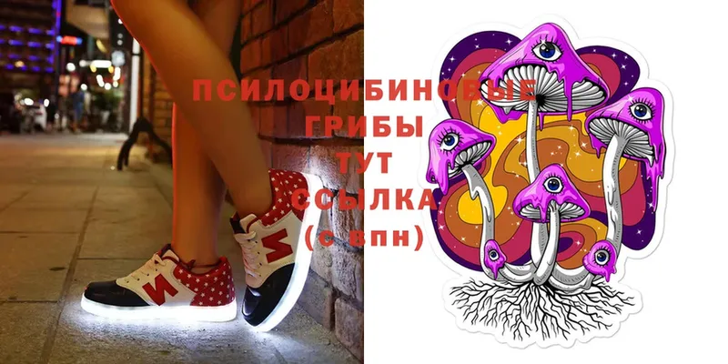 Псилоцибиновые грибы MAGIC MUSHROOMS  Красноармейск 