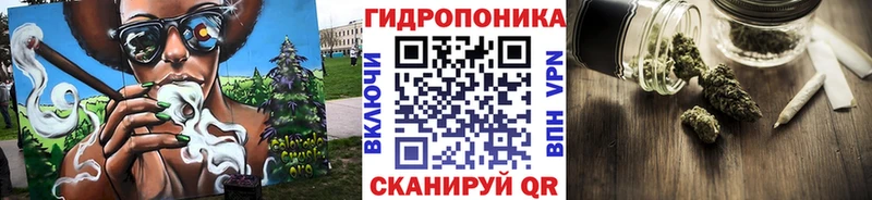 как найти наркотики  Красноармейск  Бошки марихуана Ganja 